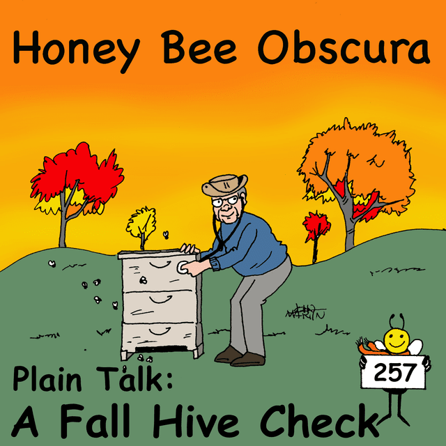 Plain Talk: A Fall Hive Check