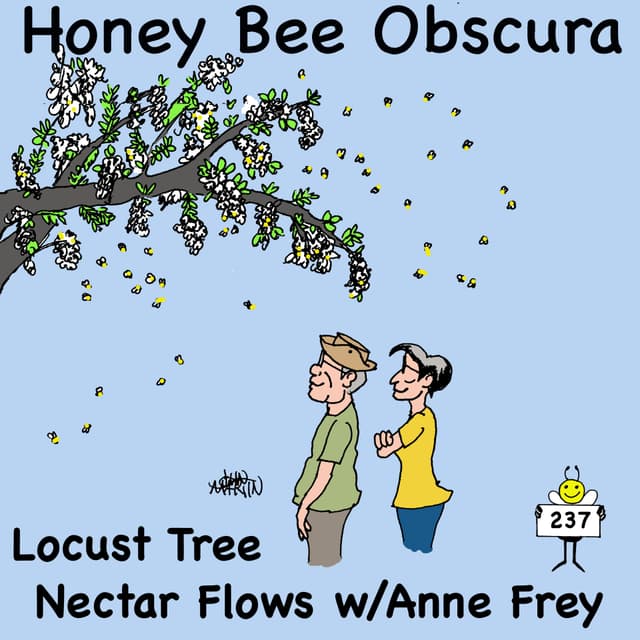 Locust Tree Nectar Flows with Anne Frey