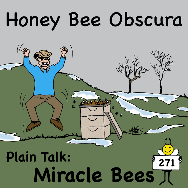 Plain Talk: Miracle Bees