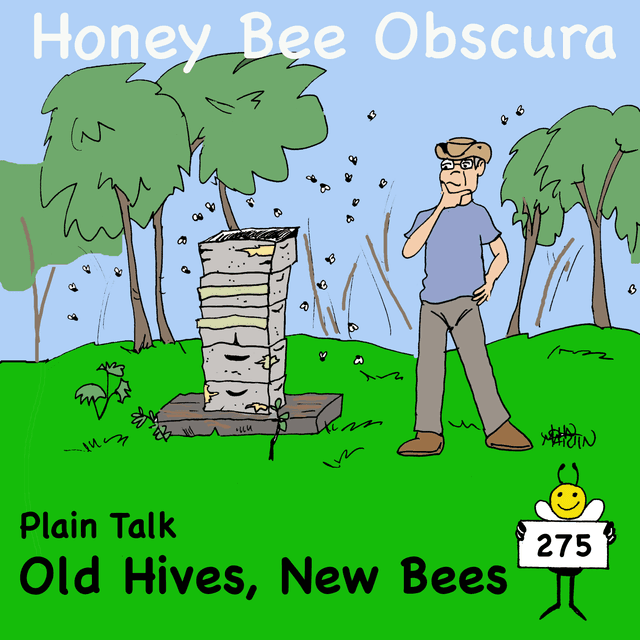 Plain Talk: Old Hives, New Bees