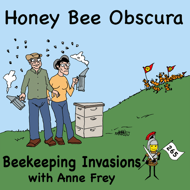 Beekeeping Invasions with Anne Frey