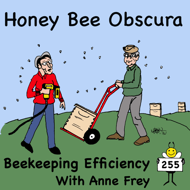 Beekeeping Efficiency with Anne Frey