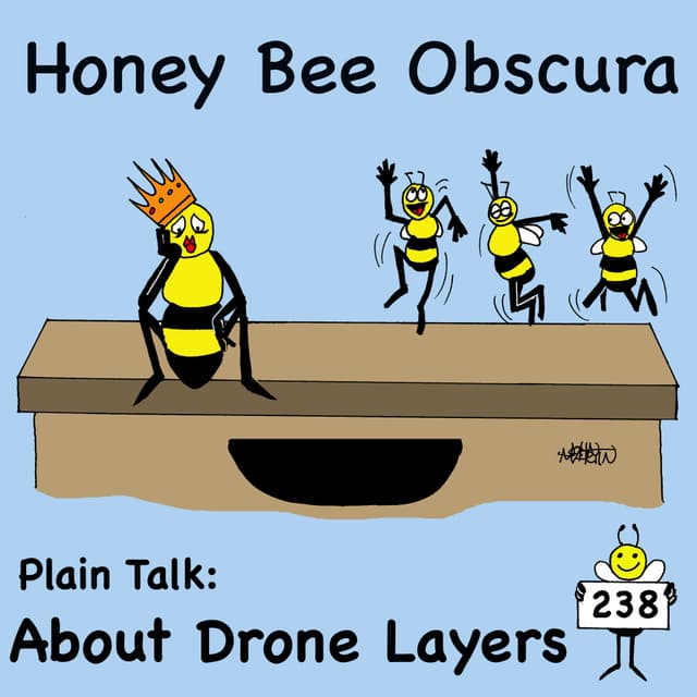 Plain Talk: About Drone Layers