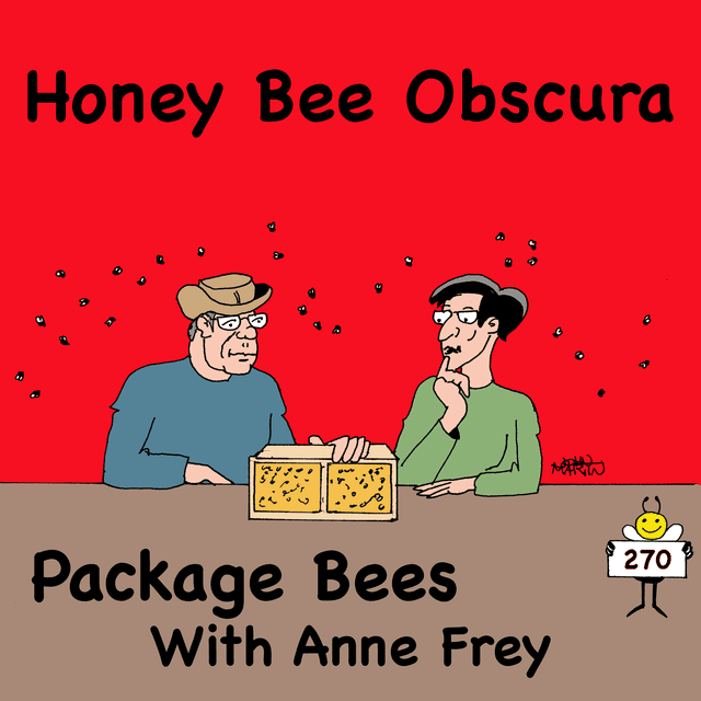 Package Bees with Anne Frey