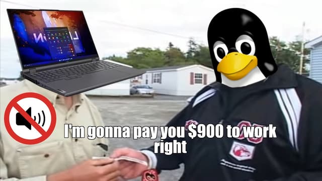 Can Crowd Funded Tech Support Fix a Linux Sound Bug?