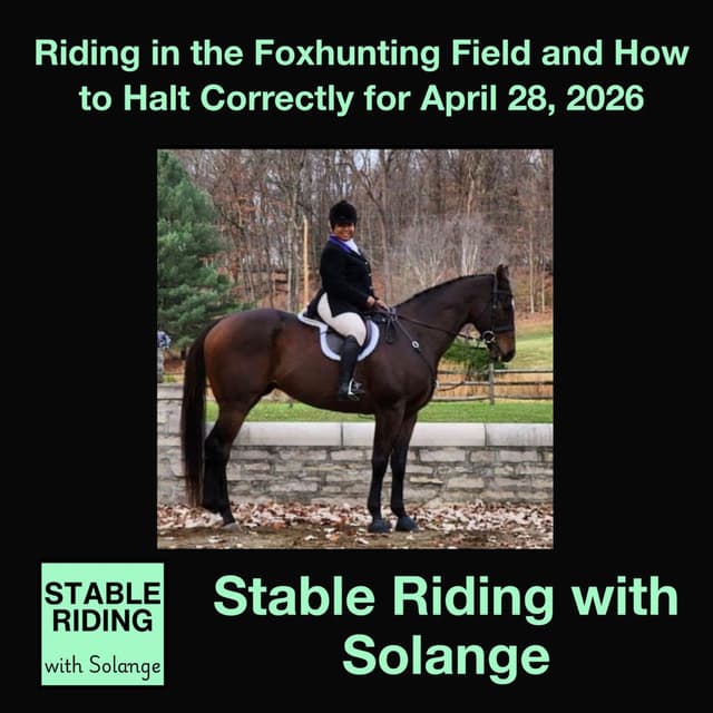Riding in the Foxhunting Field and How to Halt Correctly for April 28, 2026 - Horses in the Morning