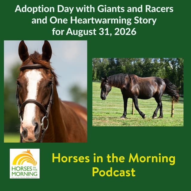 Adoption Day with Giants and Racers, One Heartwarming Story for August 31, 2026