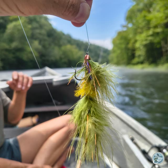 Streamer Strategies: Ellis Ward's Late Day Fishing Tips for East Tennessee