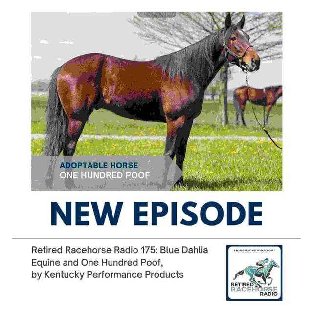 Blue Dahlia Equine and One Hundred Poof by Kentucky Performance Products - Retired Racehorse Radio