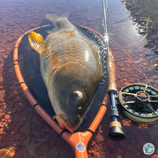 Central PA Fishing Report: George Costa's Summer Strategies for Success