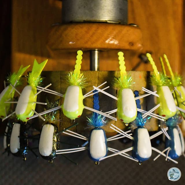 Low Water, Big Bugs: Matt Reilly's Southwest Virginia Fishing Update