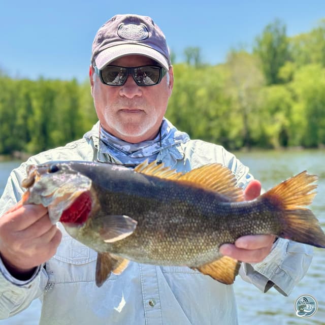 Smallmouth Strategies and Seasonal Shifts: Captain Brian Shumaker's Pennsylvania Report
