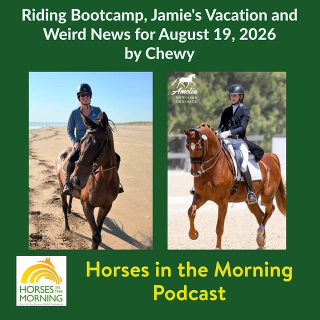 Riding Bootcamp, Jamie's Vacation and Weird News for August 19, 2026 by Chewy