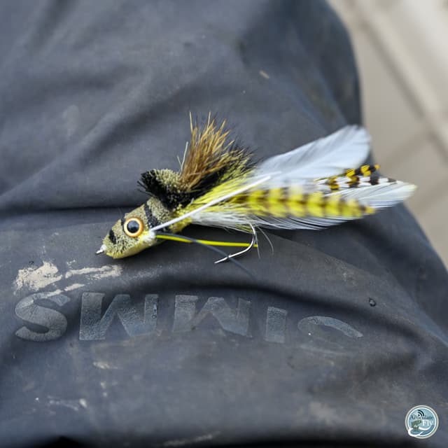 The Fall Transition: Matt Reilly's Insights on Bass Behavior and Bug Fishing Strategies