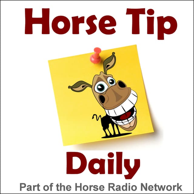 1636: The Counterintuitive Nature of Training Your Horse to Trailer, by Sentinel Horse Nutrition - Horse Tip Daily