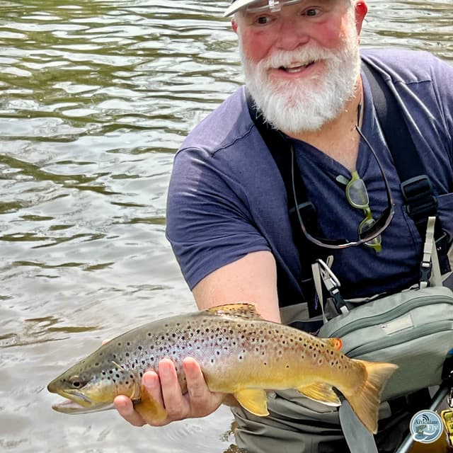 Summer Stream Insights: George Costa on Conditions, Patterns and Upcoming Events