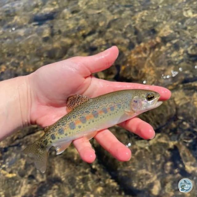 Offbeat Seasons and Terrestrial Tactics: Mac Brown's Fishing Strategies