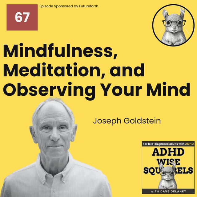 Mindfulness, Meditation, and Observing Your Mind with Joseph Goldstein.