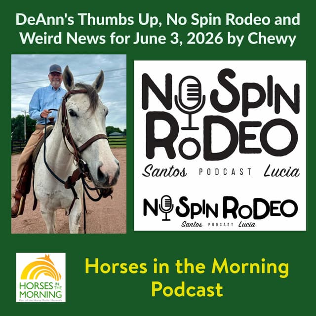 DeAnn's Thumbs Up, No Spin Rodeo and Weird News for June 3, 2026 by Chewy