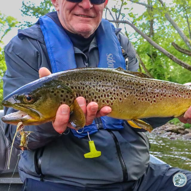 Big Water, Big Fish: Ellis Ward's Strategies for Streamer Fishing Success