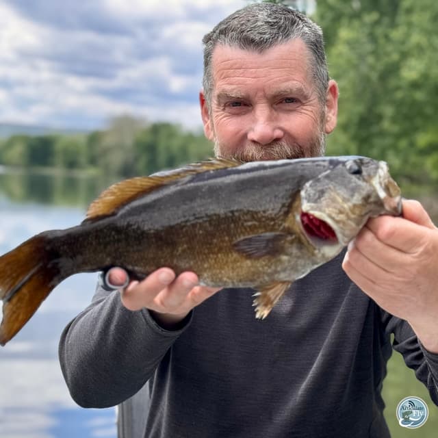 Frog Patterns and Fishing Strategies: Brian Shumaker's Late Spring Smallmouth Report