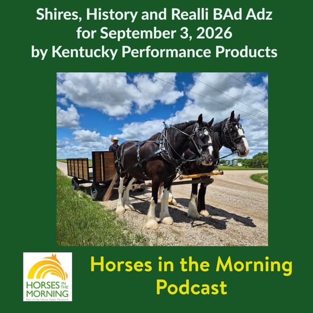 Shires, Training Tips, and Realli BAd Adz for September 3, 2026 by Kentucky Performance Products