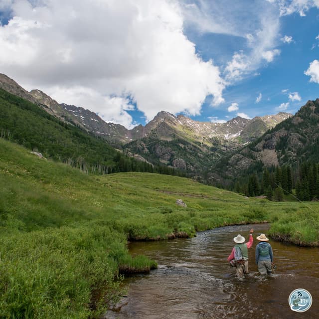 The Roadless Rule Debate: Chris Wood on Protecting America's Wild Spaces and What You Can Do