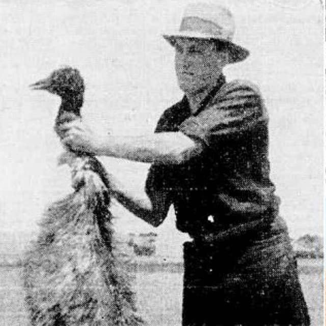 This Week in 1932: 32 Rabbit Holes – Part One