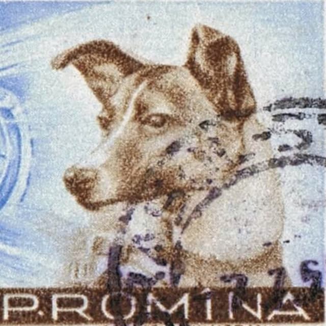 This Week in 1957: Part One – Dogs In Space