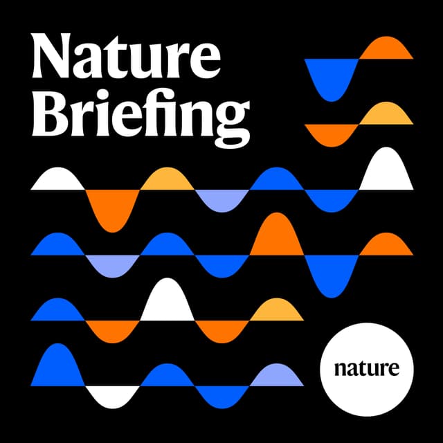 Briefing chat: How hovering bumblebees keep their cool