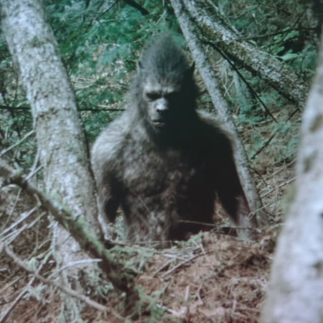 Cryptid Hitman WARNS. I Know Why People Went Missing Near Cayuga Lake