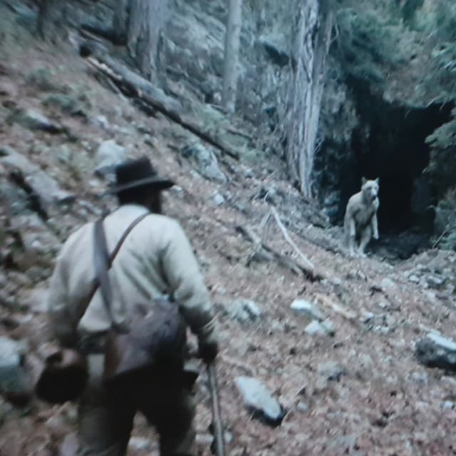US Navy SEALS Spills the Beans about Creatures They Killed In North Carolina Mountains