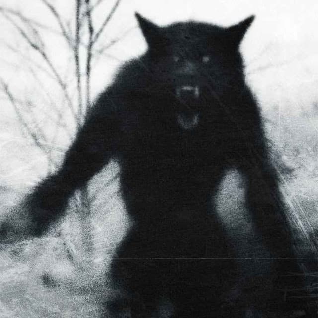 The Most Disturbing Cryptid Encounters