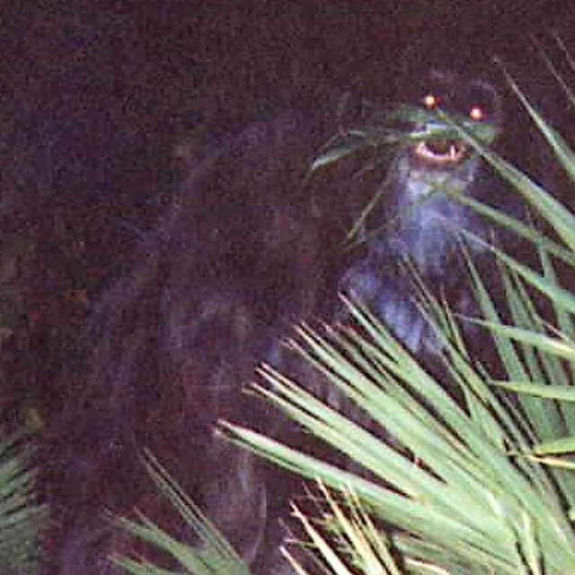 Strangest Unsolved Mysteries Detectives Can't Explain
