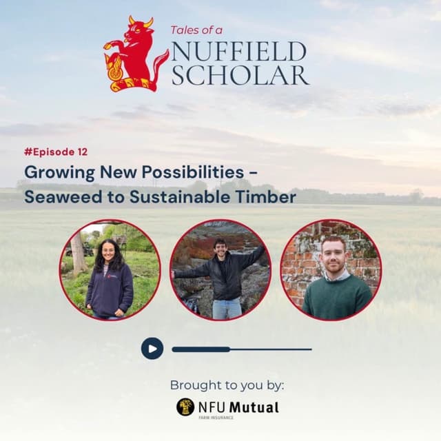 Tales of a Nuffield Scholar with Molly Gupta, Peter Rowe and Tom McVeigh