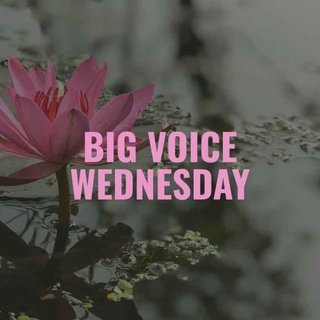 How One Public Servant Keeps Fighting | Big Voice Wednesday w/Ronda Cress
