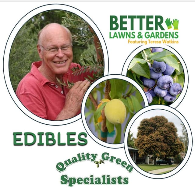 Better Lawns and Gardens - Hour 1 Edibles with Dana Venrick February 28 2026