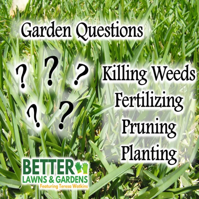 Better Lawns and Gardens - Hour 2 Spring Garden Chores March 21, 2026