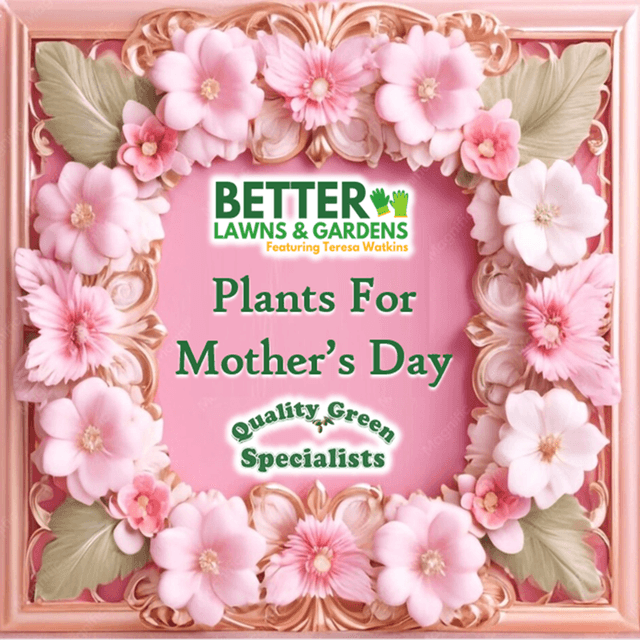 Better Lawns and Gardens - Hour 1 Plants for Mother's Day May 2, 2026
