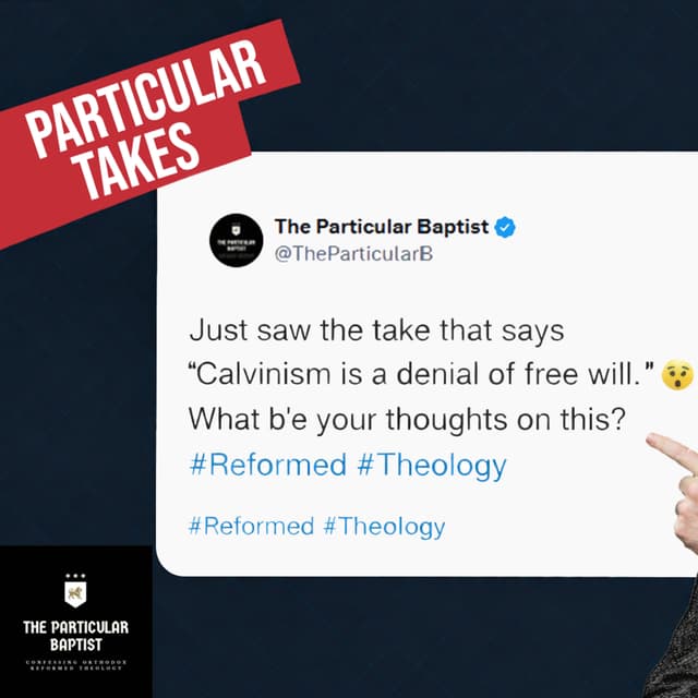 New Podcast Announcement: Particular Takes