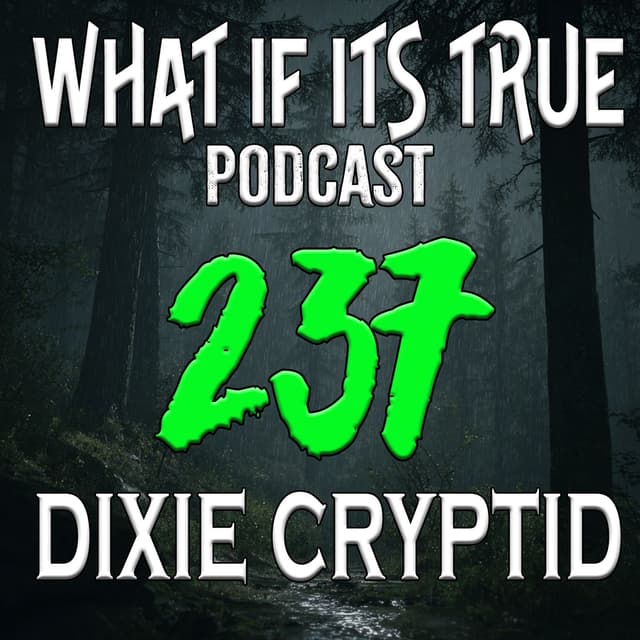 Archive 237 UFOs & Bigfoot