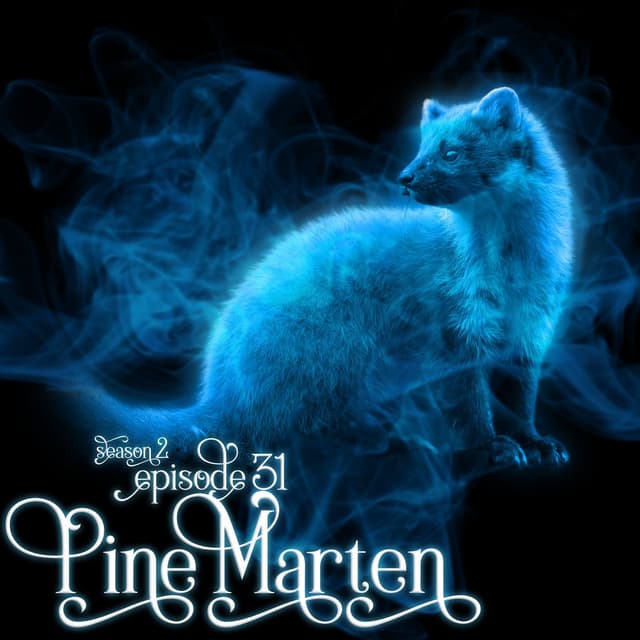 S2E31: Pine Marten