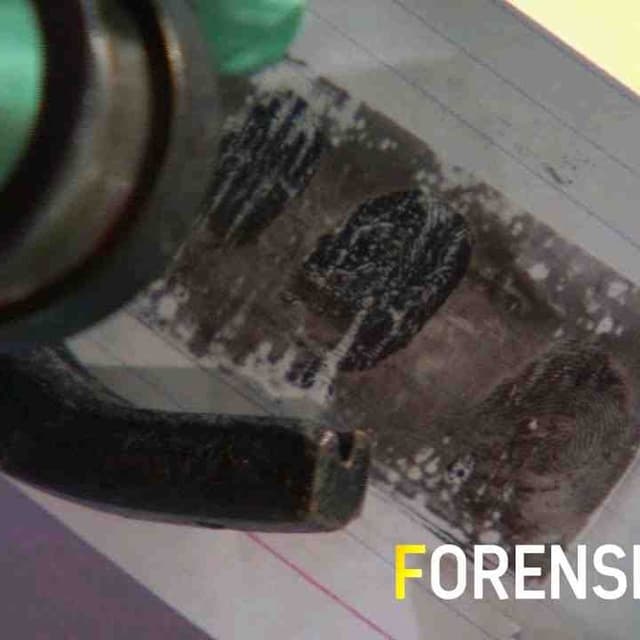 Forensic Files (HD) - - Needle in a Haystack - Full Episode
