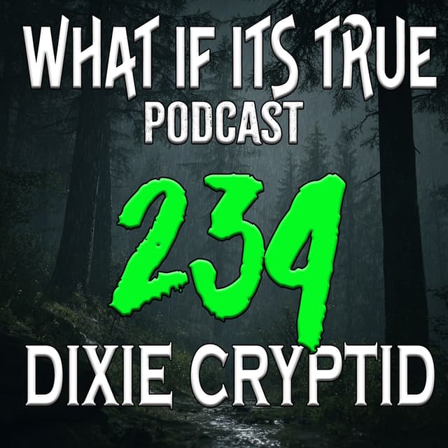 Archive 234 Chained Light and Flying Dogs