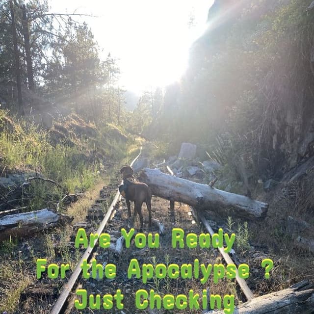 Zombies as a Life Lesson