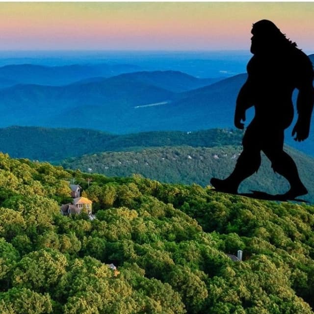 Whats new in the Bigfoot community?