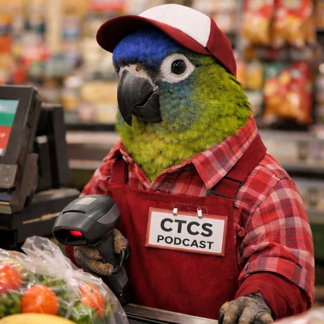 C.T.C.S Episode 217 The First Snow, Shaking The Grump And Who Is Charlie Brown