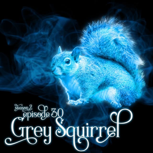 S2E30: Grey Squirrel