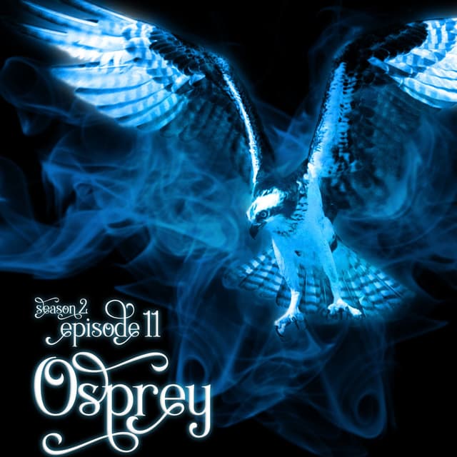 S2E11: Osprey
