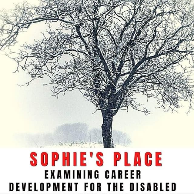 Sophie's Place: Examining Career Development for the Disabled